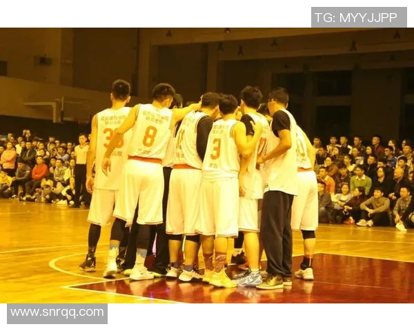 成都篮球队的技术揭秘与训练秘辛全解析