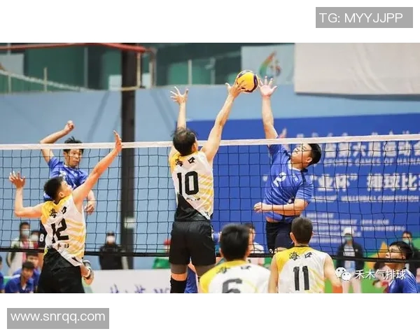 杭州排球队战术解析与未来发展方向的深入探讨