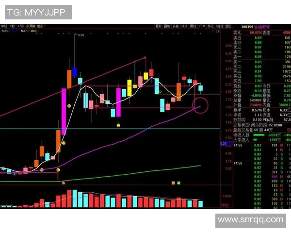 深入分析杭州排球队的进攻策略与战术特点探讨