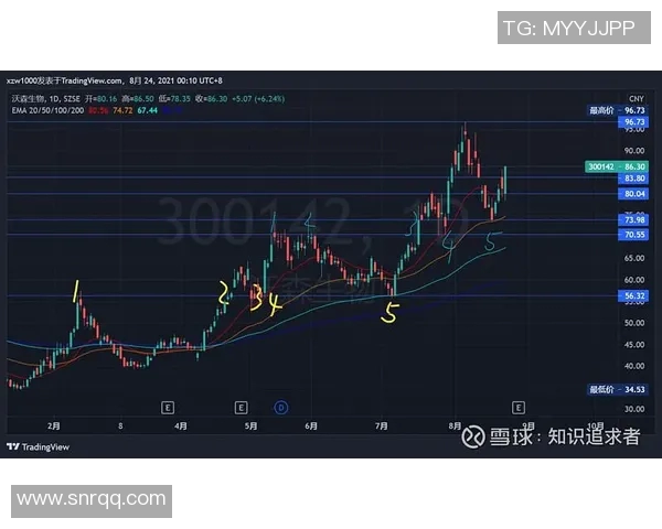 深圳足球队与重庆足球队赛后技术分析与战术复盘探讨